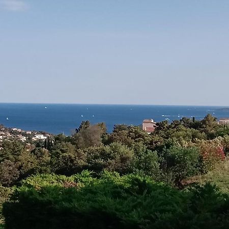 Haut De Mazet Vue Mer Et Piscine Partagee Lägenhet Roquebrune-sur Argens Exteriör bild